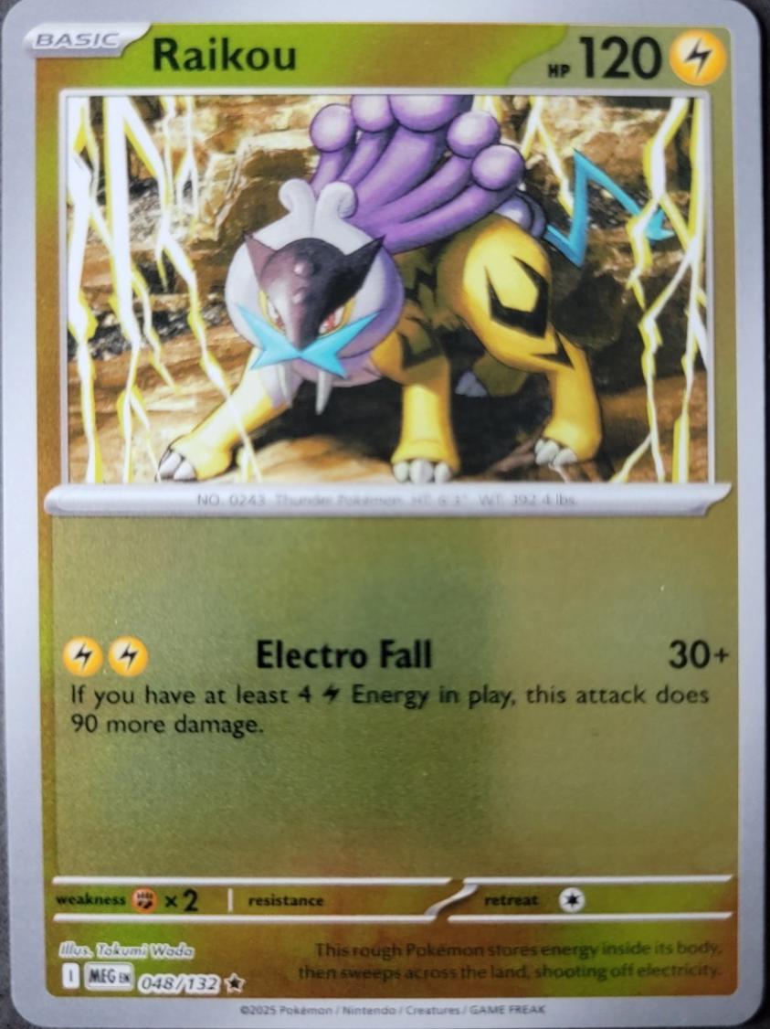 Raikou #48 (Reverse Holo) - Mega Evolution