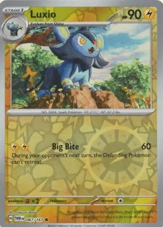 Luxio [Reverse Holo] 067/167